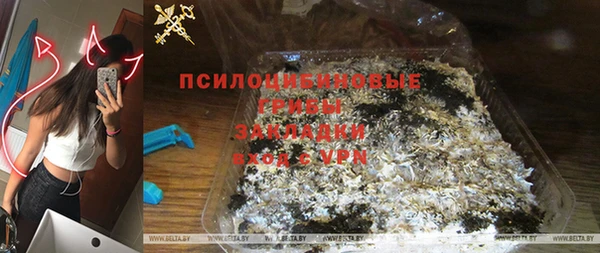 гидра Радужный